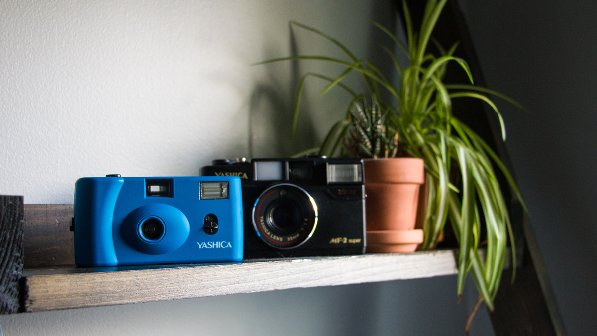 Film Cameras – YashicaUSA